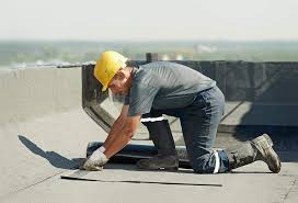 Best Roof Coating and Sealing  in Carpendale, WV